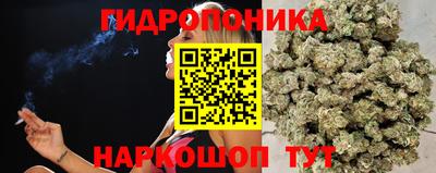 метадон Моздок